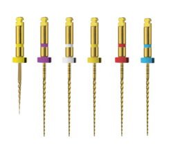 RAMO RCS Gold LT File