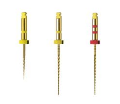 RAMO RCS Gold Basic File