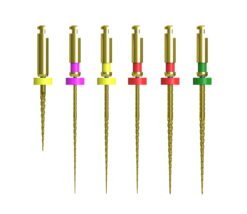 CICADA DT-EN R6 File