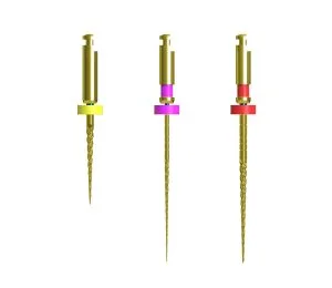 CICADA DT-EN-E3 File