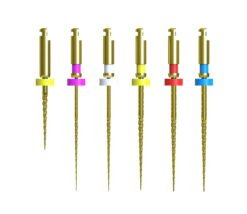 CICADA DT-EN S6 File