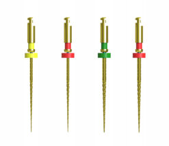 CICADA DT-EN G4 File